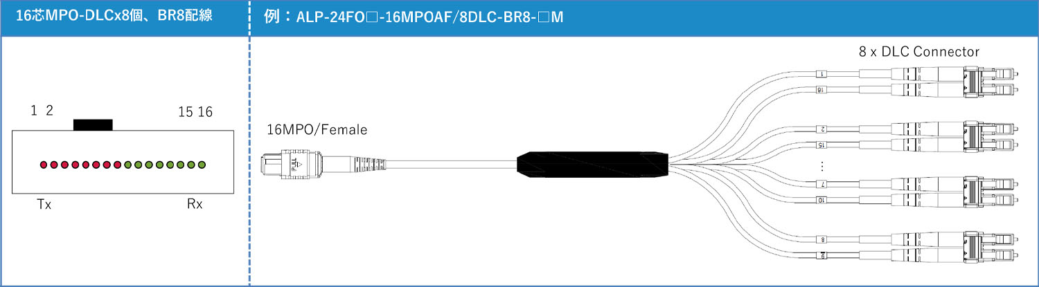16芯配線例BR8