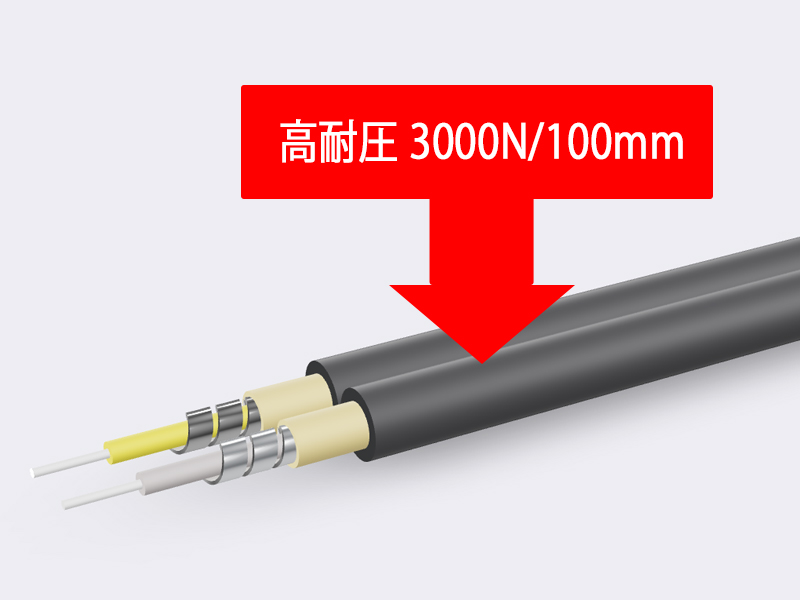 高い側圧（3,000N/100mm）耐性