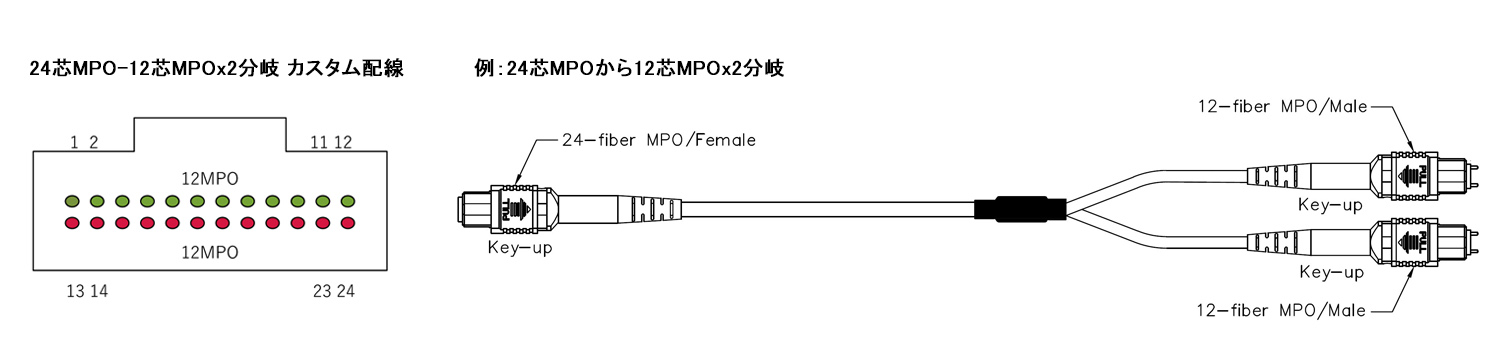 24芯配線例2